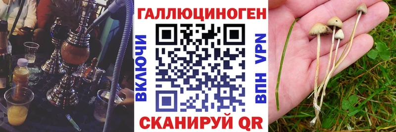 Галлюциногенные грибы мицелий  сайты даркнета клад  Новокубанск 