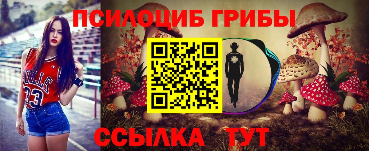 Псилоцибиновые грибы MAGIC MUSHROOMS Новокубанск