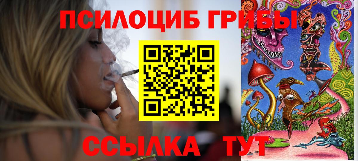 Псилоцибиновые грибы MAGIC MUSHROOMS  Вход с VPN  Новокубанск 